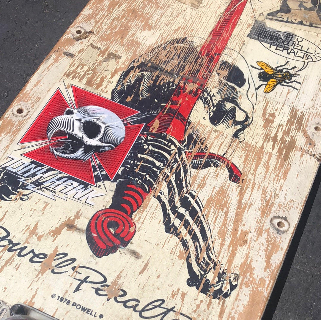 Powell Peralta skull n sword  1982